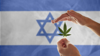 יד מחזיקה עלה קנאביס על רקע דגל ישראל